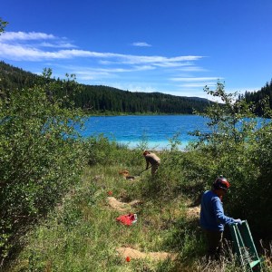View of shovel testing in progress.